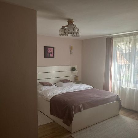 Vila Monica Bran  Extérieur photo