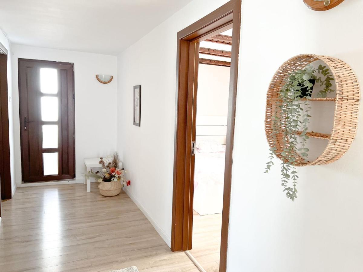 Vila Monica Bran  Extérieur photo