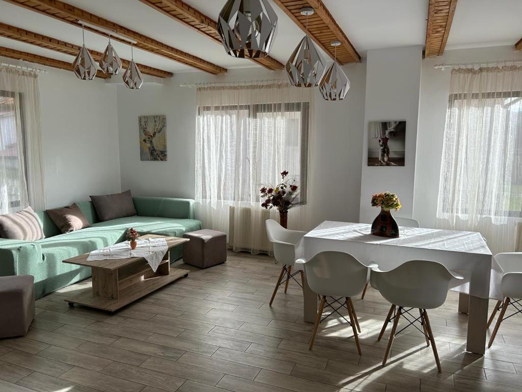 Vila Monica Bran  Extérieur photo