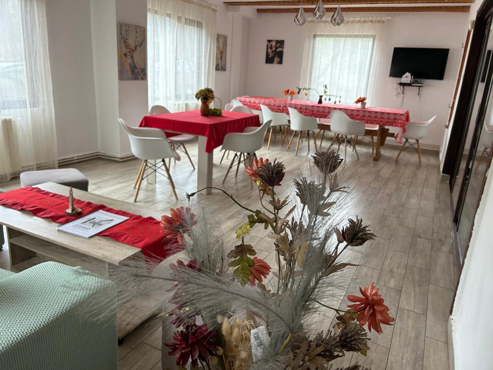 Vila Monica Bran  Extérieur photo