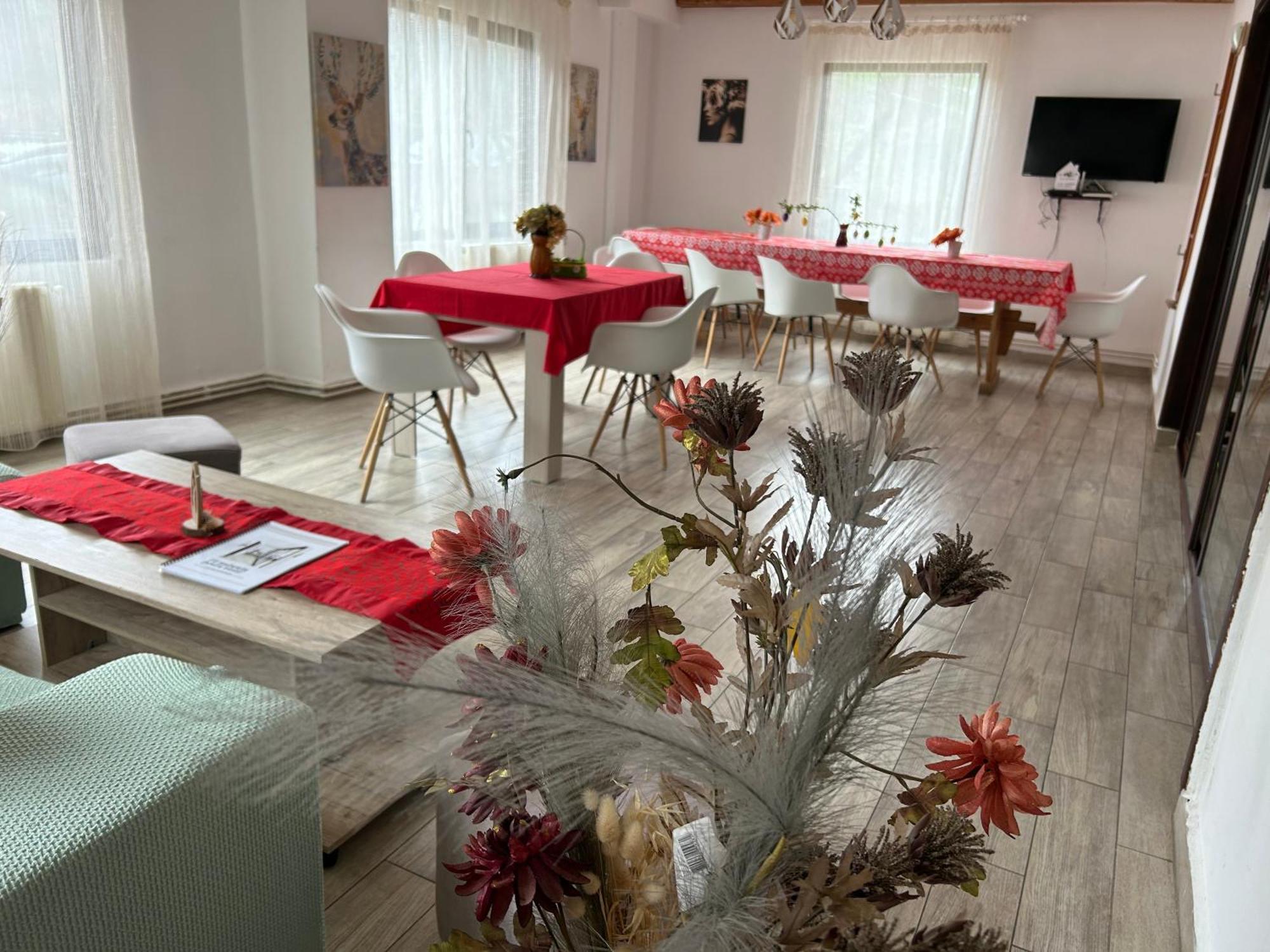 Vila Monica Bran  Extérieur photo